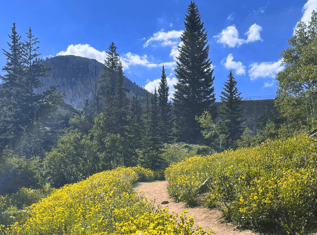 5 Tips on How to Be a More Mindful Trail User - Alpha Coffee