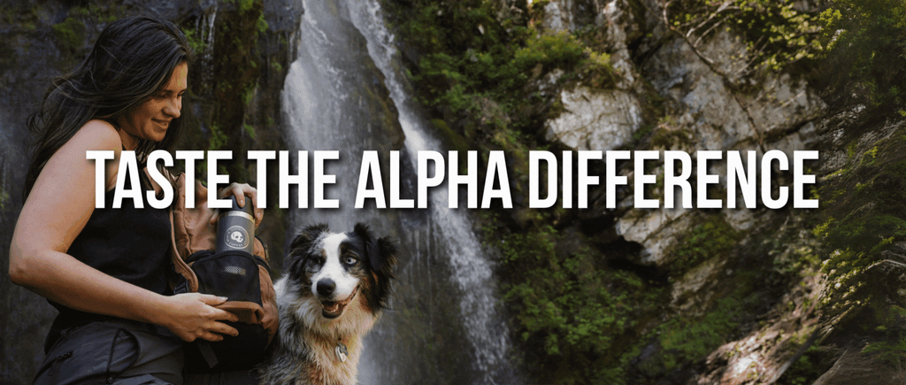 Alpha Coffee gallery