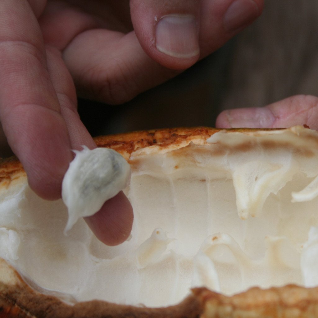 Red Thunder Premium Hot Cocoa - C4T - Alpha Coffee